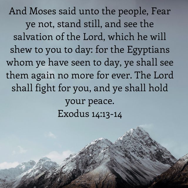 fear not stand still and see the salvation of the lord