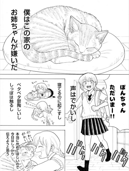 猫とお姉ちゃんの漫画 
