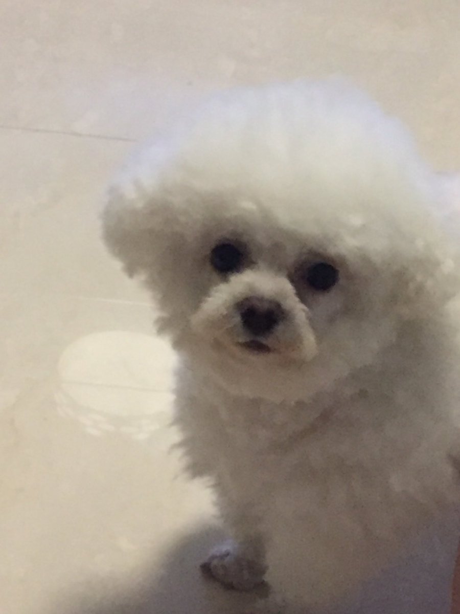 カンユウ tweet media