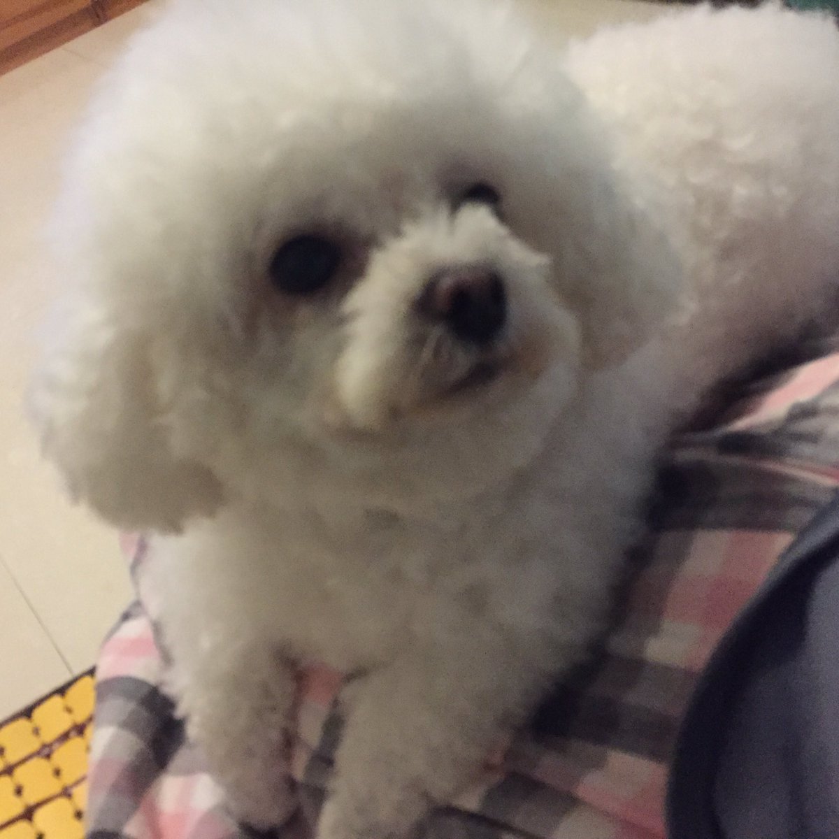 カンユウ tweet media