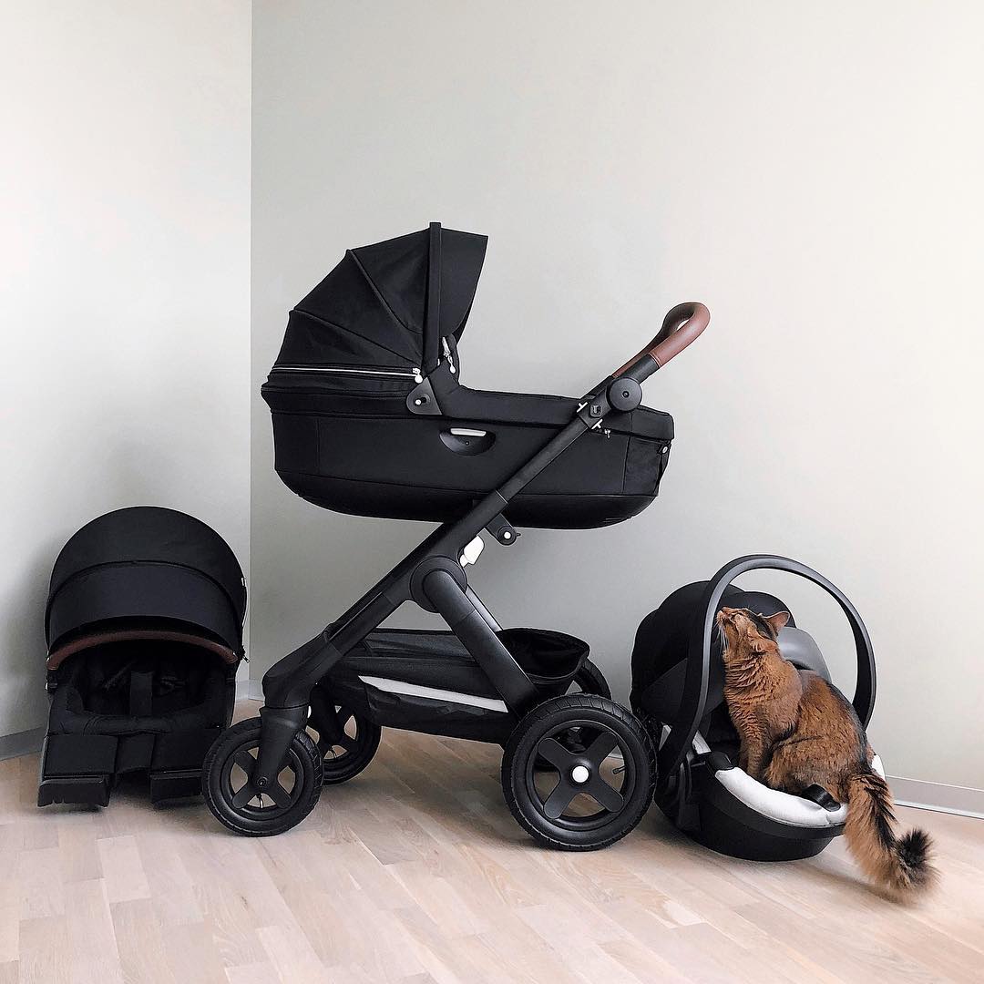 StokkeBaby's tweet photo. Black is back. The full range of our #Stokke #Trailz #Black edition: https://t.co/tLzj0vTCUb ๐ธ: @stone_kriss https://t.co/FGlBACR3nT