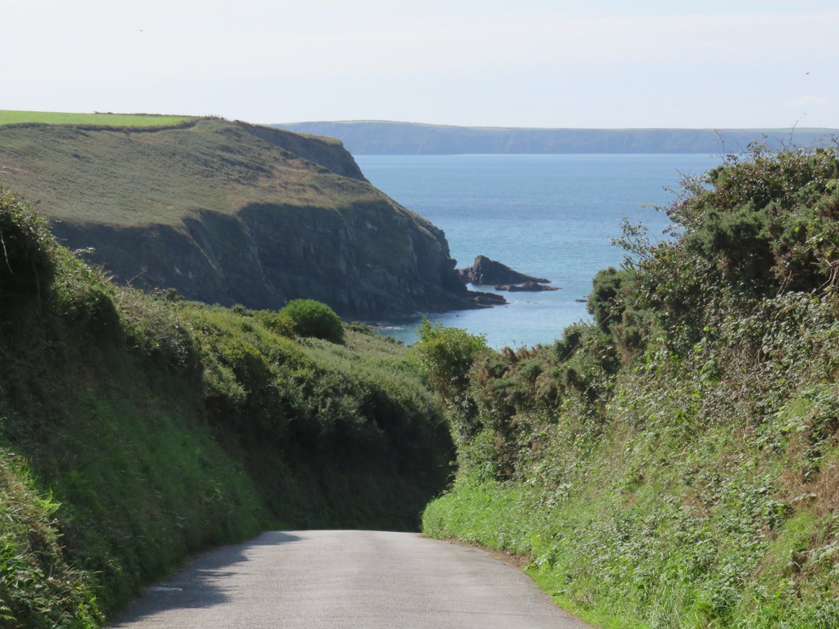 VW_Groupie's tweet photo. Hired electric bike with excellent bike hire @pembsbikes for week to enjoy wonderful @VisitPembs lanes and scenery #findyourepic @visitwales. #pembsbikes delivered and picked up at time to suit with panniers, repair kit and lock (helmet available too). A great experience! https://t.co/8TABAnfzzu