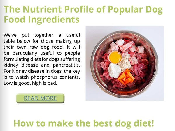 How to make the best dog diet!
Read this &amp; more on Dogs First Magazine. Sign up with your email address. 
Happy reading!

dogsfirst.ie/magazine/

#DogsFirst #DogDiet #RawDogFood #DogNutrition