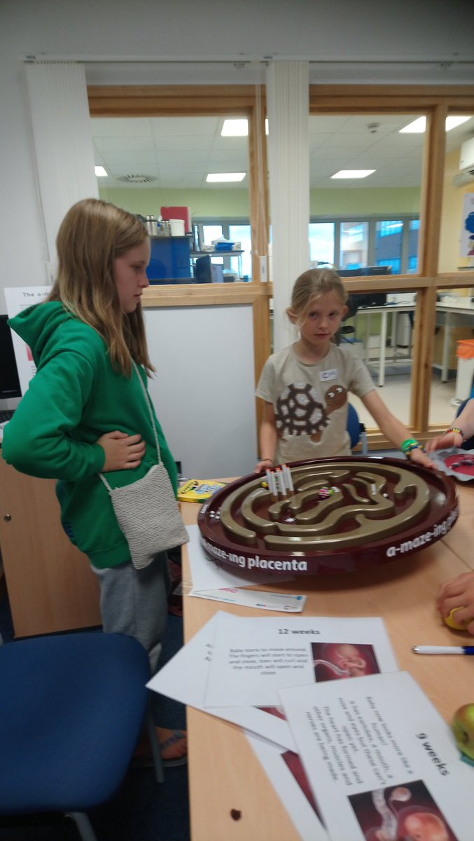 UoS_WISHlab's tweet image. Great to have the a-maze -ing placenta in #WISHlab this year #UHSOpenDay