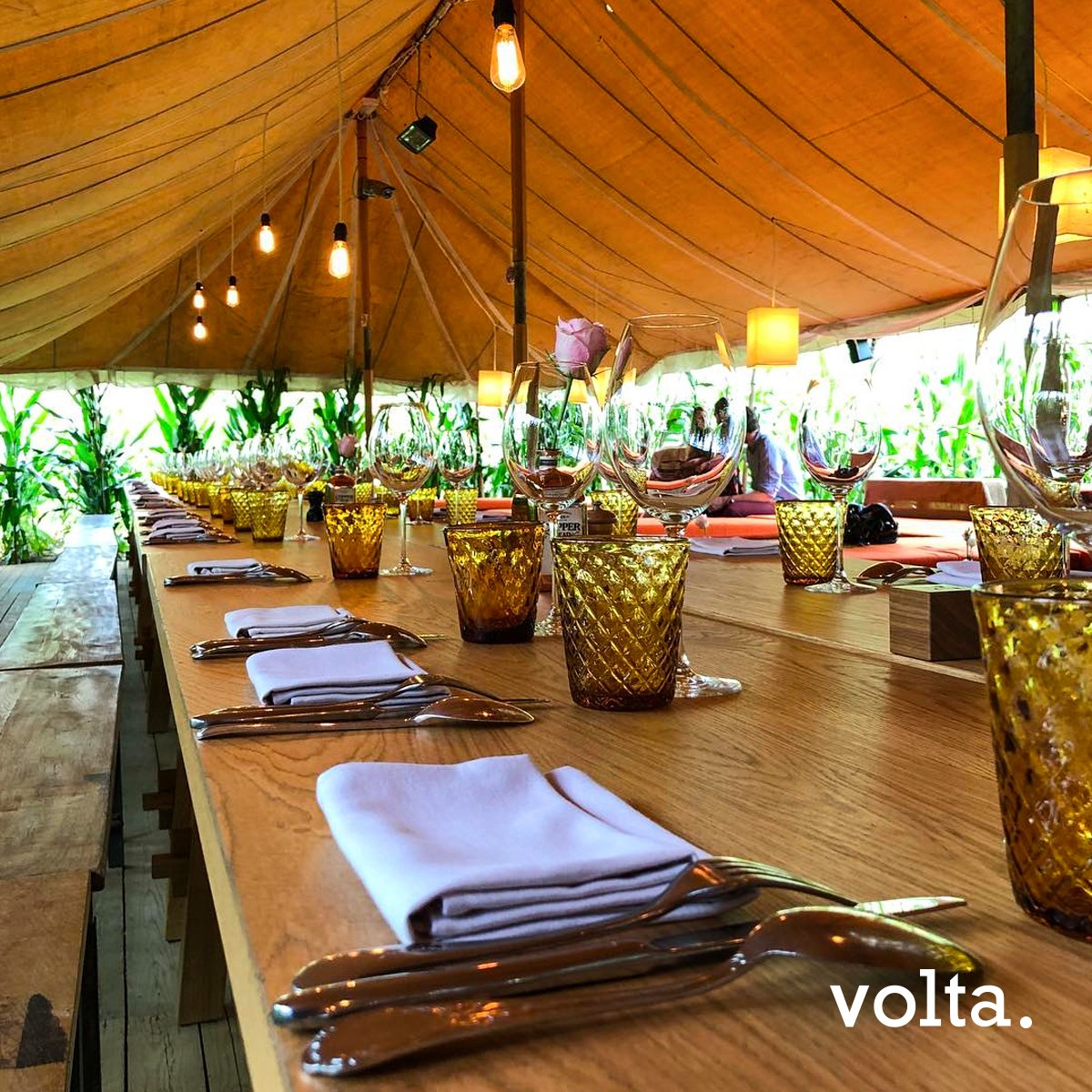 Volta Gent tweet media