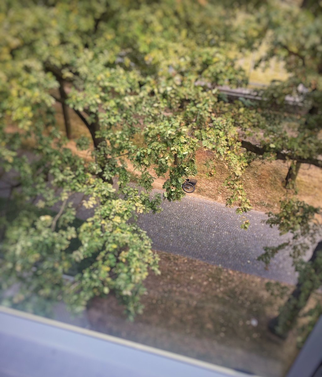 Heute ist es gut schwindelfrei zu sein #bcfrauenbn18