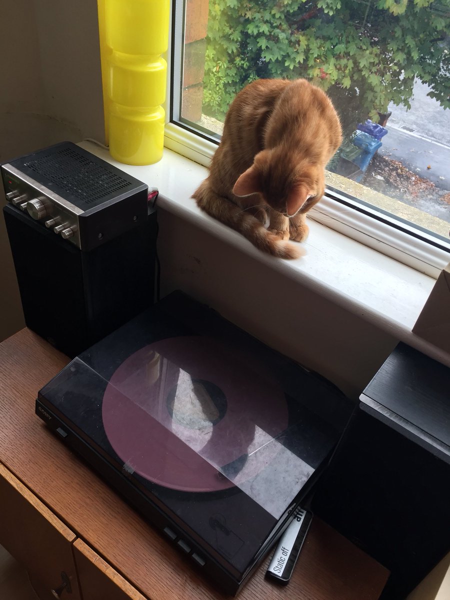P_Weill's tweet photo. Yoichi not too sure about his feelings for @idlesband album 🤔 https://t.co/DeFe6wcPRL