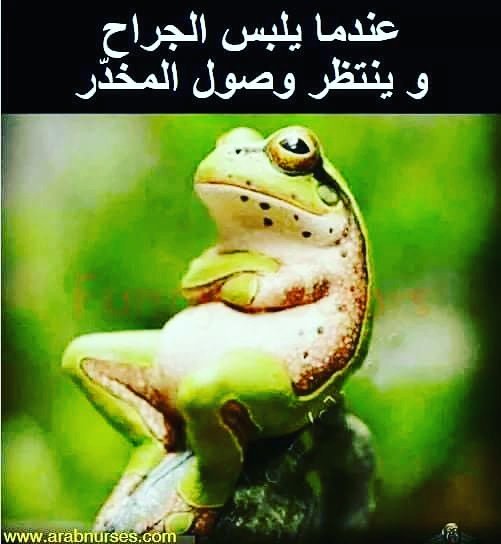 أسرة التمريض tweet media