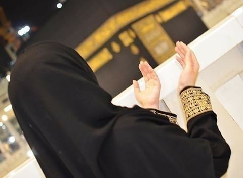 وردآيـಿـة🌸 tweet media