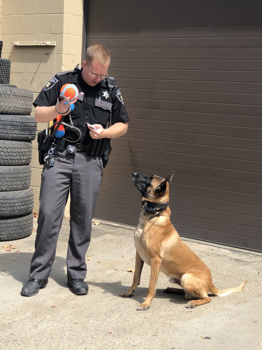 K9Filou's tweet photo. Thank you @Christina_Roof for my gifties - @K9Rebbel made sure I got them... and I played all afternoon with them 💙🖤💙🐾 @Orion45760714 @L_Pysz @JohnLaulis @memechell83 @girlloveswvu @SHEL_WV @LivePDK9 @LivePDNation @k9sofvalor https://t.co/6n0MyIXPMv