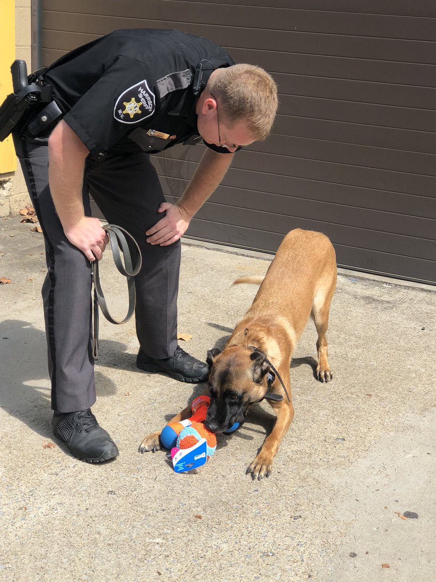 K9Filou's tweet photo. Thank you @Christina_Roof for my gifties - @K9Rebbel made sure I got them... and I played all afternoon with them 💙🖤💙🐾 @Orion45760714 @L_Pysz @JohnLaulis @memechell83 @girlloveswvu @SHEL_WV @LivePDK9 @LivePDNation @k9sofvalor https://t.co/6n0MyIXPMv