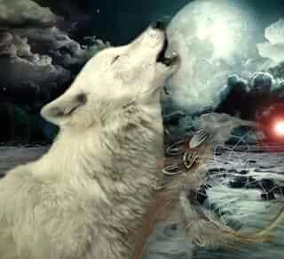 Kaymo_wolf's tweet image. ＄✿ ʙ㉫Aµ†Ïƒµし Cħµ 
So beautiful chu💟💜💕💞