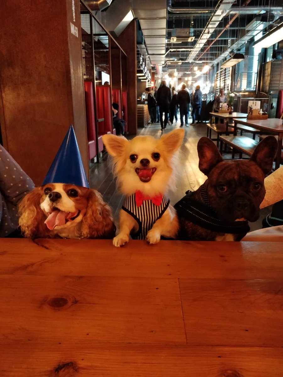 TerryPage1965's tweet photo. Waiting for the cake!! @PagesPooches @Pagey167 https://t.co/tJUWH7s6N9