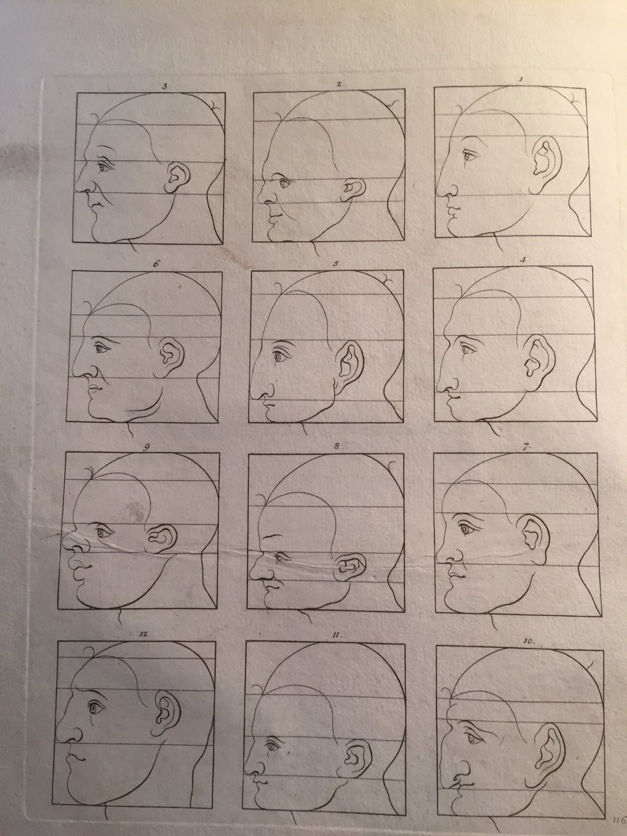 FelixRareBooks's tweet photo. Face profile drawings https://t.co/1uaoHZjrZk
