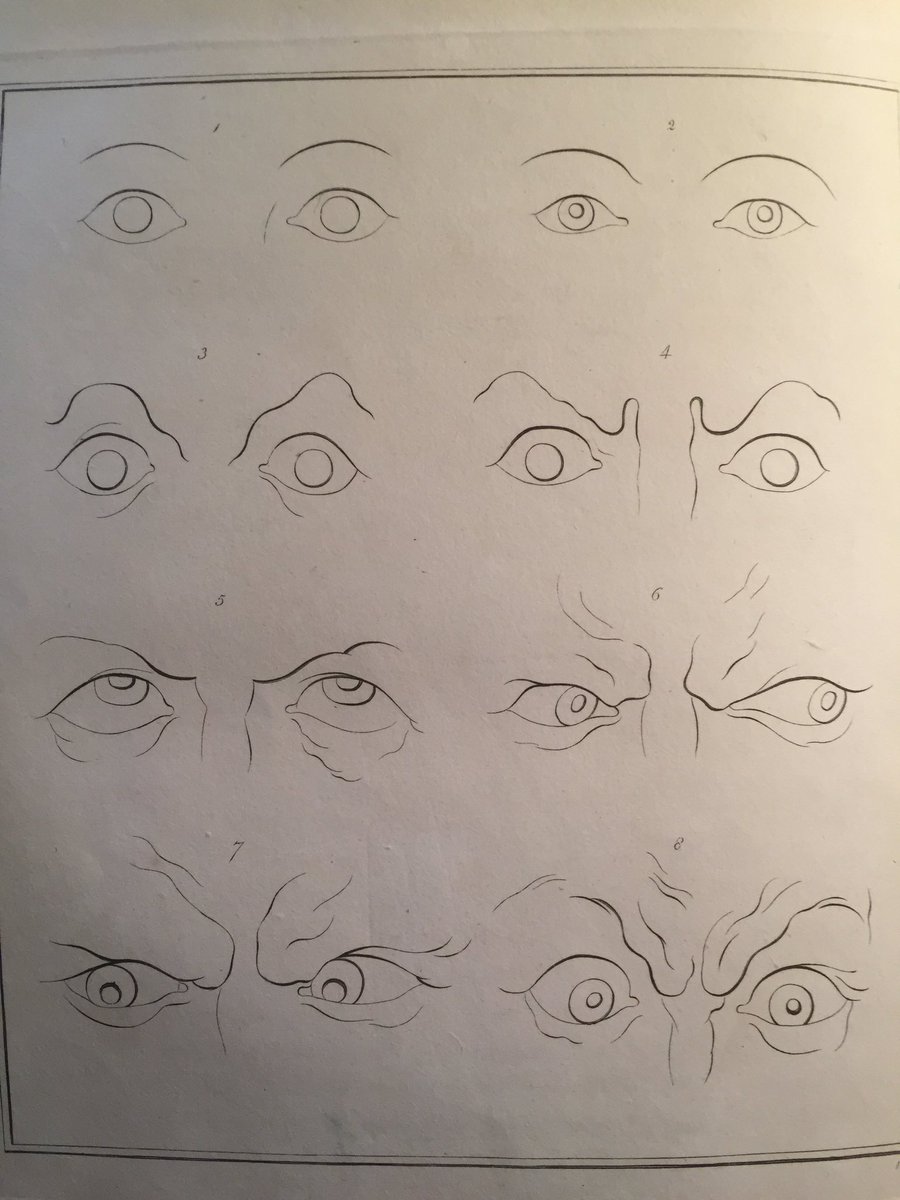 FelixRareBooks's tweet photo. The eyes https://t.co/vgPYh4T02O