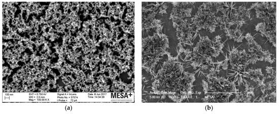 Sensors_MDPI's tweet photo. #mdpisensors Ruthenium Oxide Nanorods as Potentiometric #pHSensor for #Organs_On_Chip Purposes https://t.co/13mPmbH10d by #BIOS #Lab_On_Chip Group at #MESA + Institute for #Nanotechnology & #maxplanck_UT @utwenteEN @maxplanckpress
#RutheniumOxide #PotentiometricSensor https://t.co/eknn5Bq4nC
