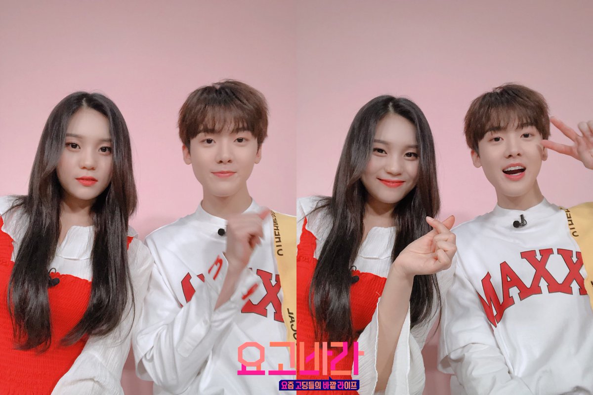 SBS MTV 요고바라 tweet media