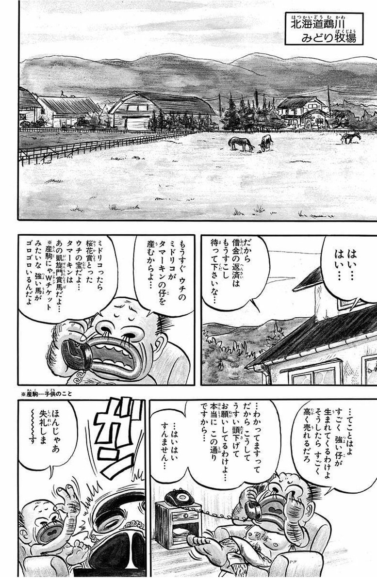 ふるさと納税なら直接鵡川に! 