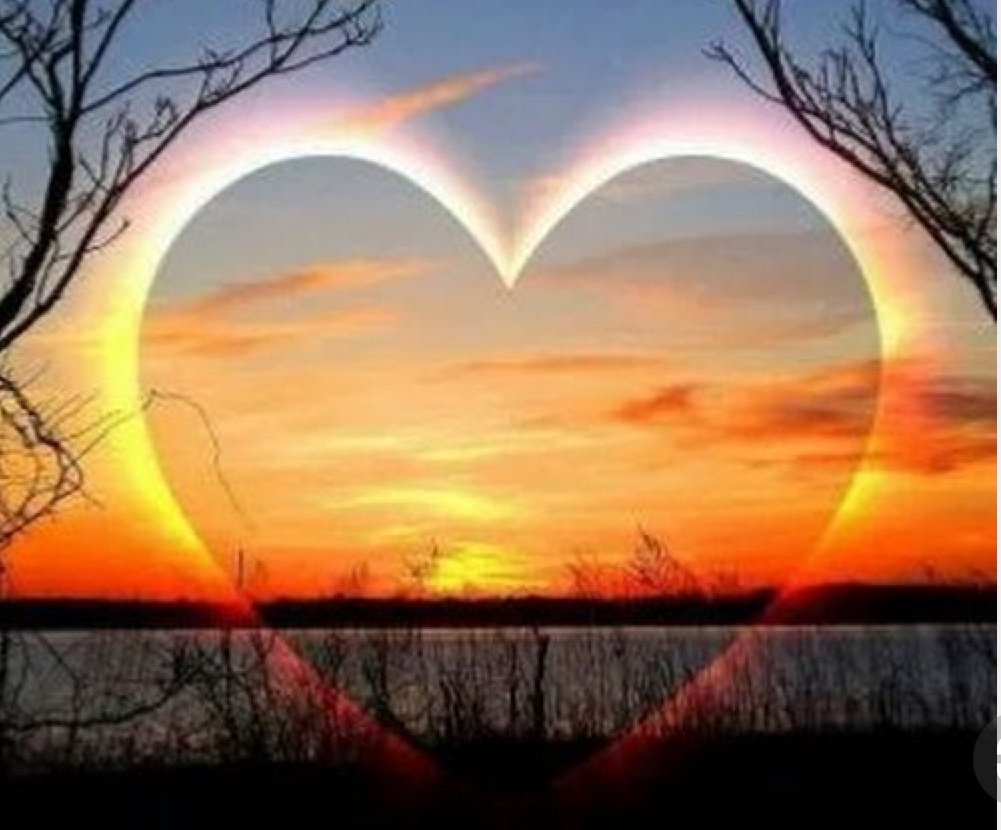 Hatred paralyzes life; love releases it.
Hatred confuses life; love harmonizes it.
Hatred darkens life; love illuminates it.

Martin Luther King, Jr.