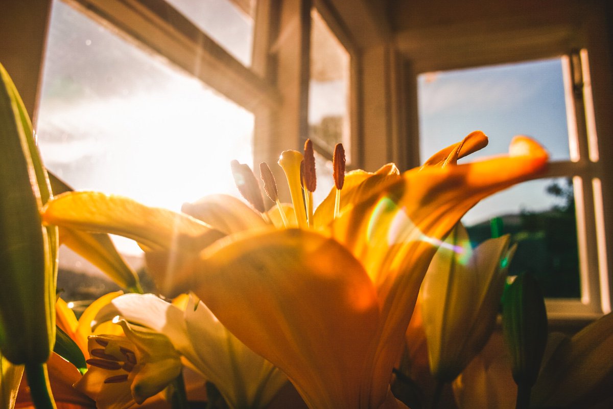 DOTChallenge's tweet photo. Embrace natural light! Open up &amp; let the sun shine in! Using natural light instead of artificial light will reduce electricity used during the day. Natural light also increases happiness! #DOT #DOTChallenge @braammalherbe @LovElectricity @EcoWarrPrincess https://t.co/Am8lA9Zj96