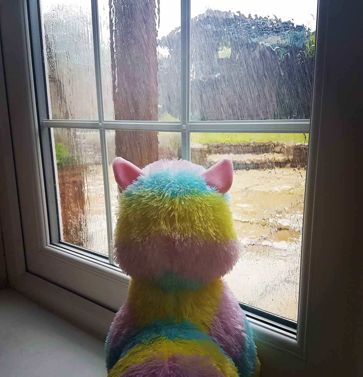 BornToBeFluffy's tweet photo. #endlessrain is falling on my heart today in the UK. No fun outdoors for me today. I'm a sad #alpaca πͺ I will listen to #xjapan indoors instead! #borntobefluffy #endlessfluff #yoshiki #γ¨γ·γ #xjapancometoeurope #Xfreaks #toshl #WeAreX #fluffythexfreakalpaca #fluffy #rain #cute https://t.co/I9RcjIDHUy