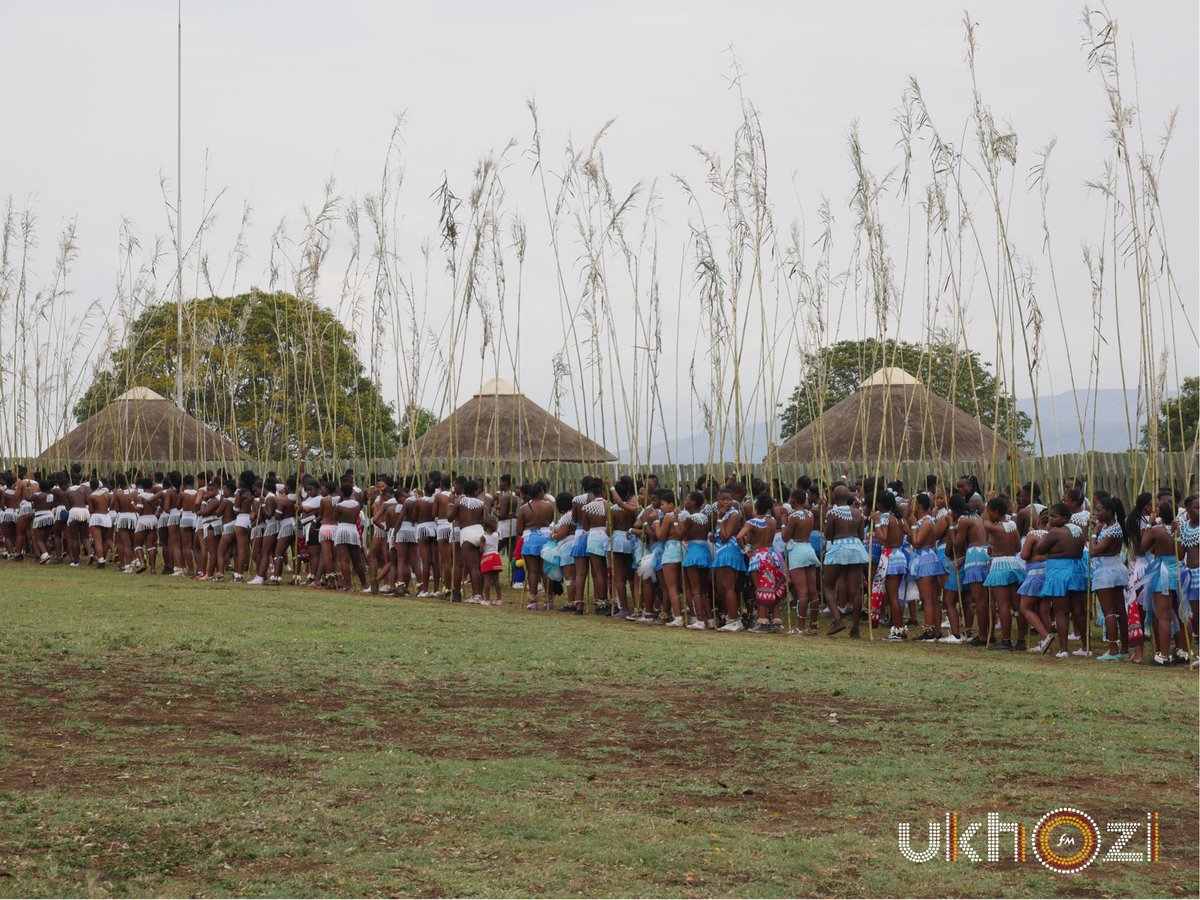 ukhozi_fm's tweet photo. izintombi sezibheke khona eNkosini uNgangezwelakhe #ReedDance #SithandaAmagugu #uMkhosiWomhlanga #LiveYourHeritage https://t.co/1g1KkkvE9J