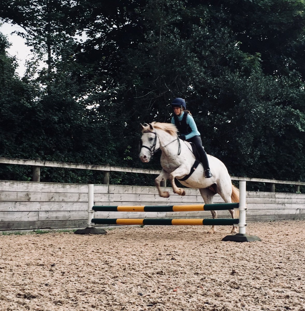 KVEquestrians's tweet photo. #September evening of family coaching. A real pleasure to work with this #team ahead of their #tetrathlon event.  Some super progress made. Cracking job, well done and thank you.  #Motivation #PonyHour #247equestrian #awsome #childriders #confidencegiver https://t.co/vPmWDBq6Nn