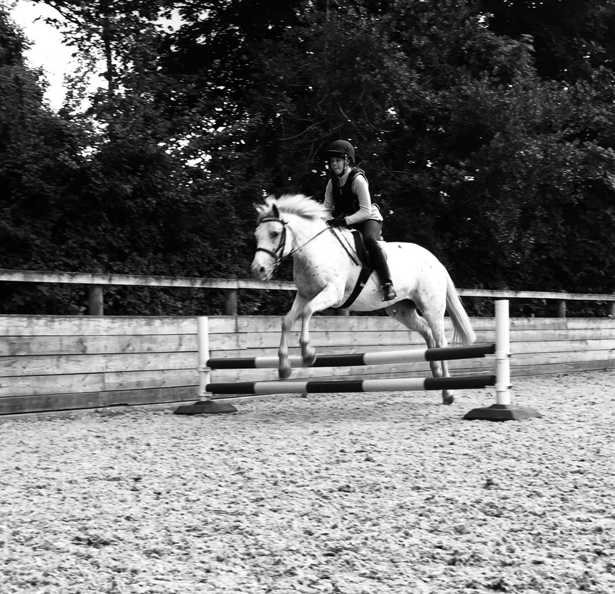 KVEquestrians's tweet photo. #September evening of family coaching. A real pleasure to work with this #team ahead of their #tetrathlon event.  Some super progress made. Cracking job, well done and thank you.  #Motivation #PonyHour #247equestrian #awsome #childriders #confidencegiver https://t.co/vPmWDBq6Nn