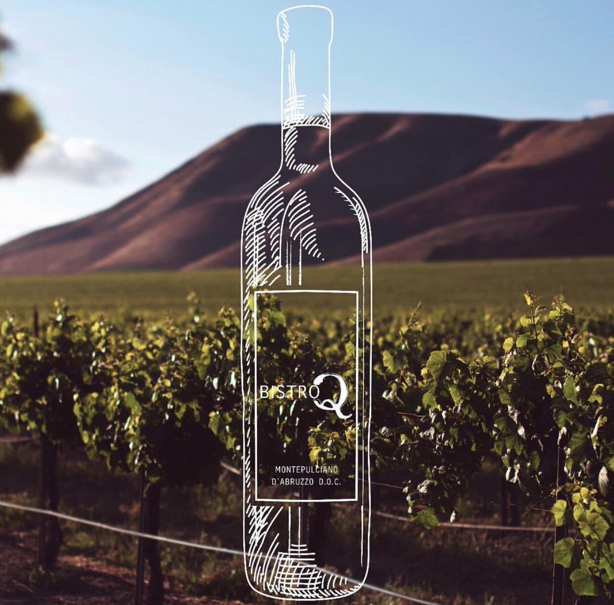 Hoy tienes que venir a conocer el nuevo vino Bistro Q. Pensado específicamente para nosotros, con una mezcla de uvas 🍇 que te fascinará 🍷 📞 RESERVACIONES (777) 3145500 📍Av. Río Mayo esquina Av. Teopanzolco #weekend