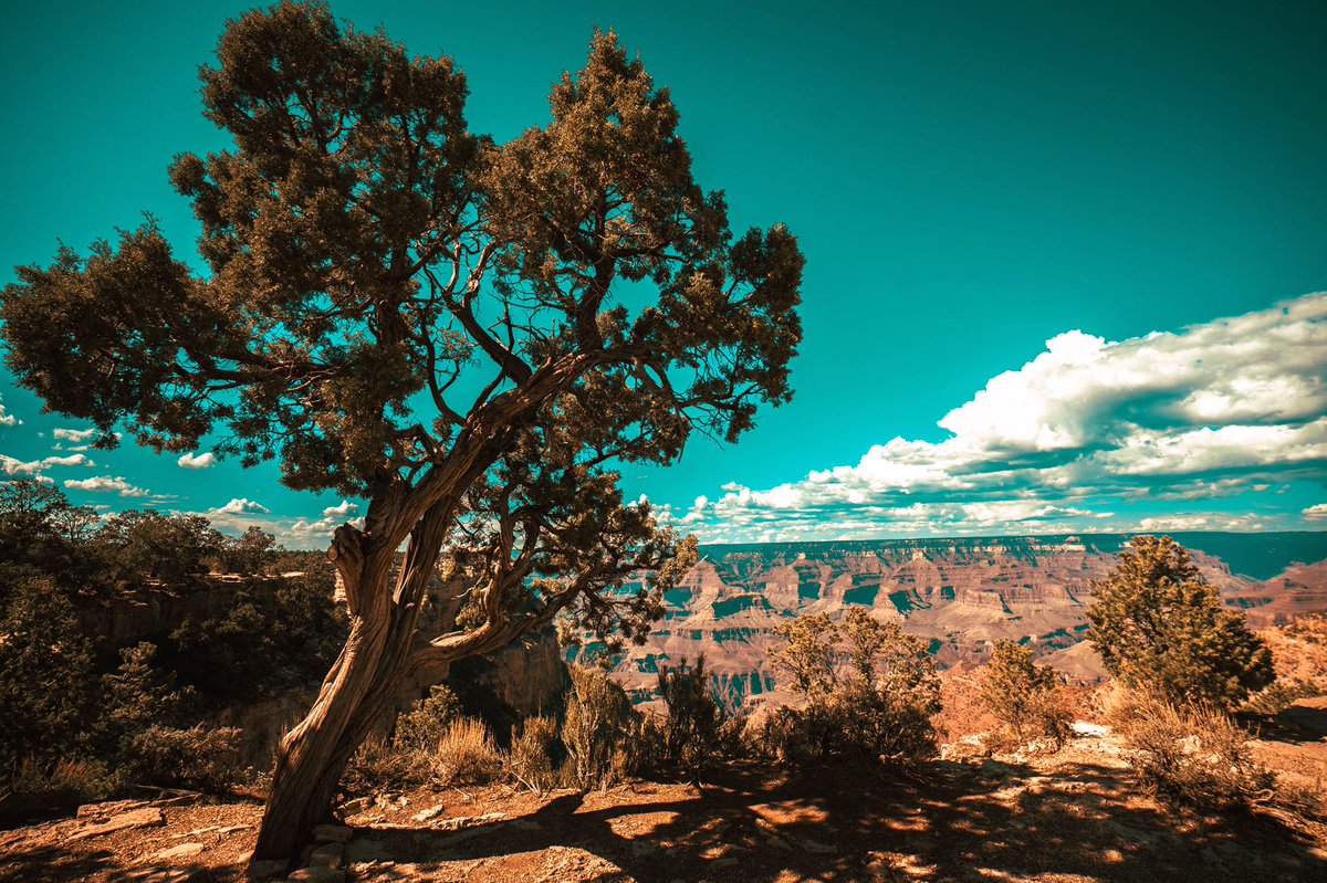 views of the Grand Canyon

instagram.com/p/Bnb8s-wg-IZ/