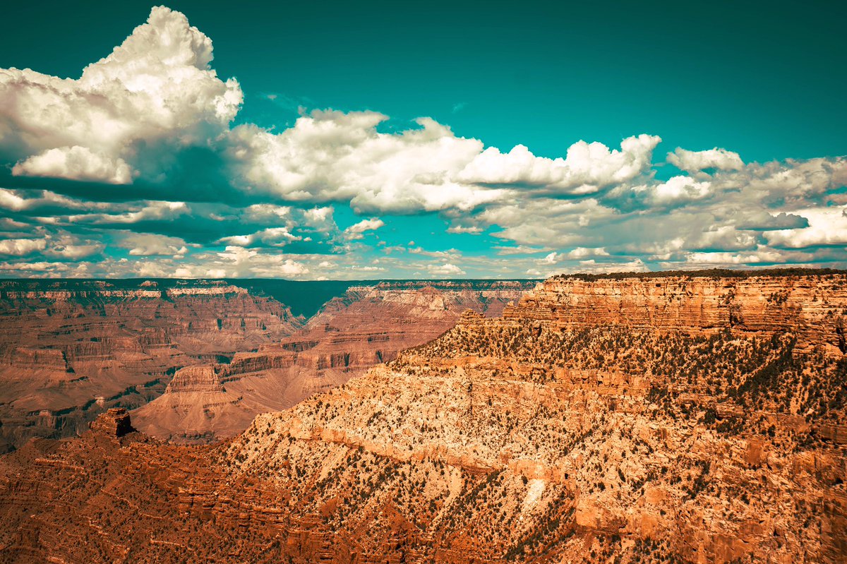 KrisHerrmann's tweet photo. views of the Grand Canyon

https://t.co/A16XeXihUN https://t.co/qVN8SiUbt0