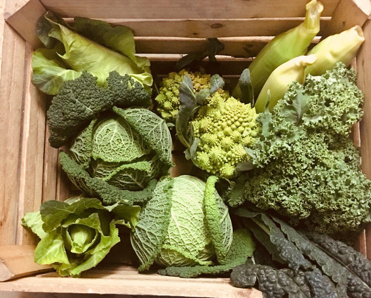 veginthe's tweet photo. Amazing Organic Greens https://t.co/RQz0b9AH8n