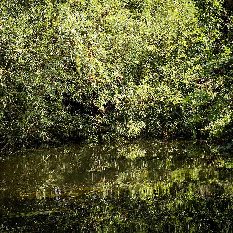 rutherfordpunts's tweet photo. The river is pretty green in places
https://t.co/EfSGfzeUqF
#touristthings #culturetrip #guardiantravelsnaps #photosofbritain #liveuk #britishsnaps #topukphoto #ukpotd #capturingbritain https://t.co/WzbXw5Pqw8