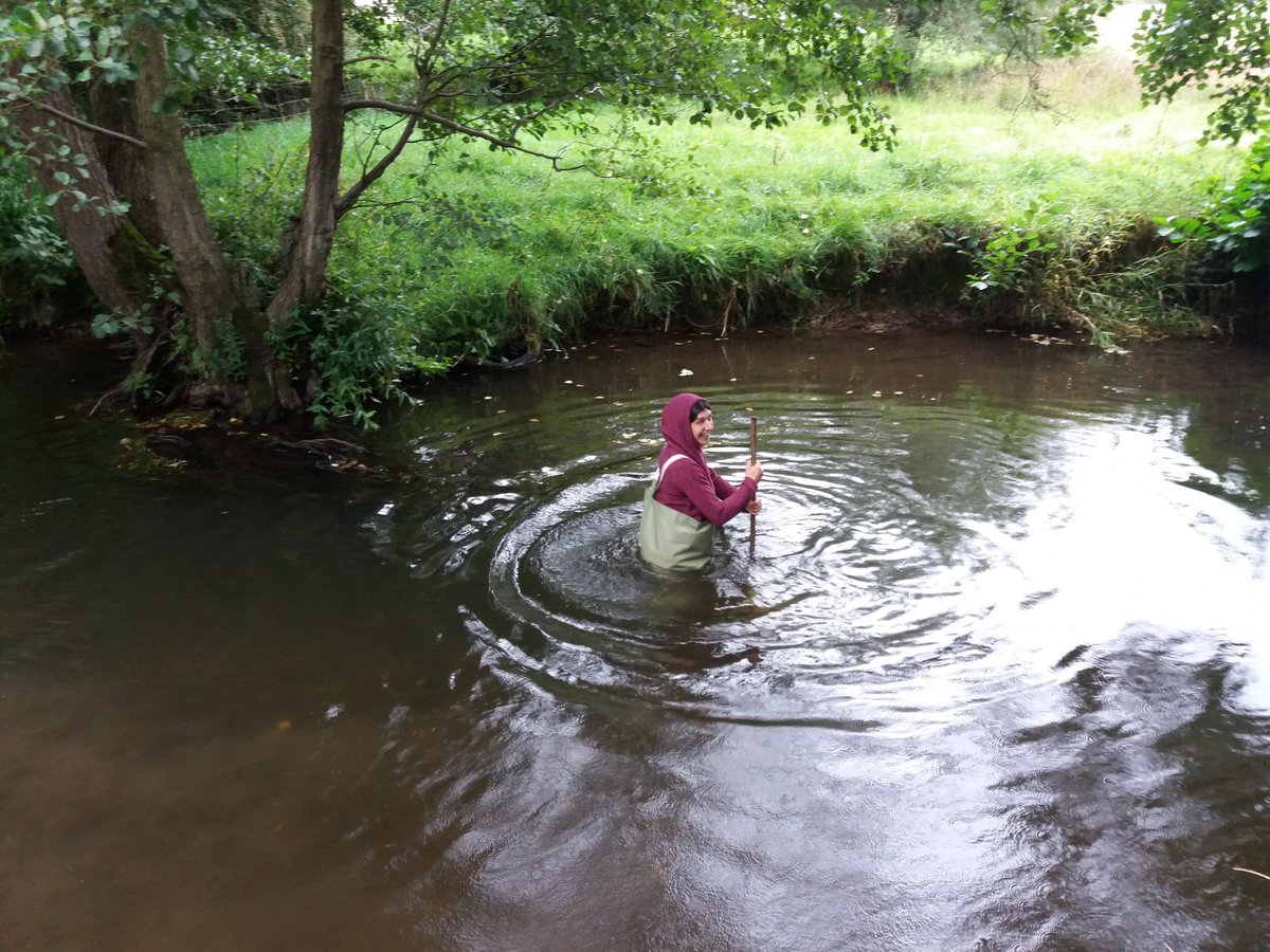 PrestonMontford's tweet photo. Loving the #kicksample for our Monitoring and Surveying course #bioticindex https://t.co/e1XTNkCnpS
