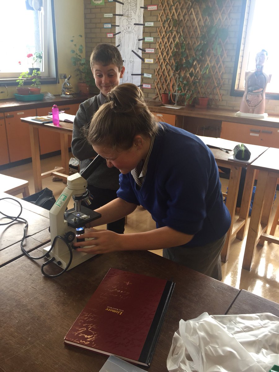 Year 9’s looking at human heart cells under the microscope 🔬 ❤️ <a href="/DomCollPStewart/">Dominican College</a>