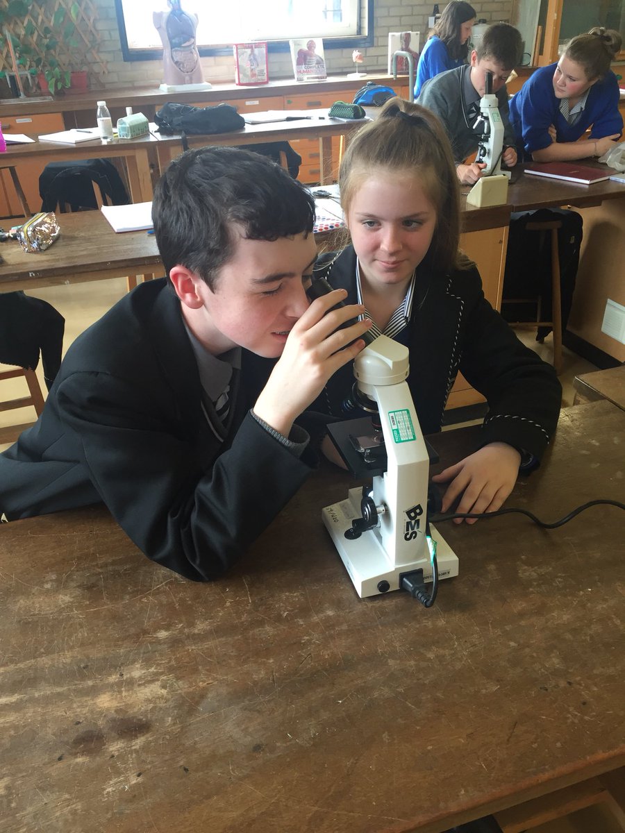 DCPscience's tweet photo. Year 9’s looking at human heart cells under the microscope 🔬 ❤️ @DomCollPStewart https://t.co/gkDkltcKS0