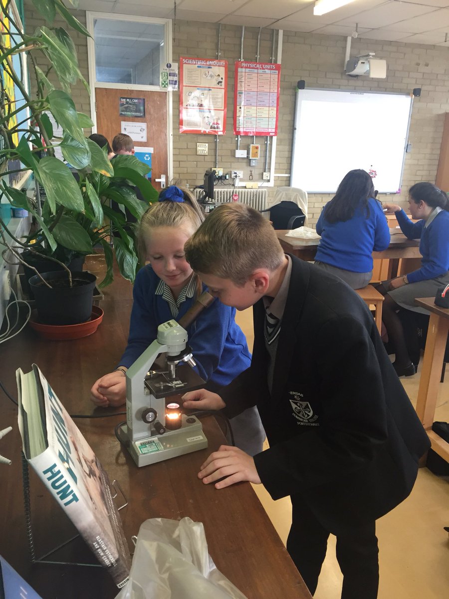 DCPscience's tweet photo. Year 9’s looking at human heart cells under the microscope 🔬 ❤️ @DomCollPStewart https://t.co/gkDkltcKS0