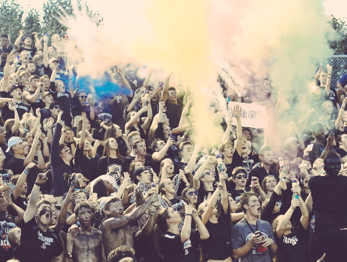 The Jungle tweet media