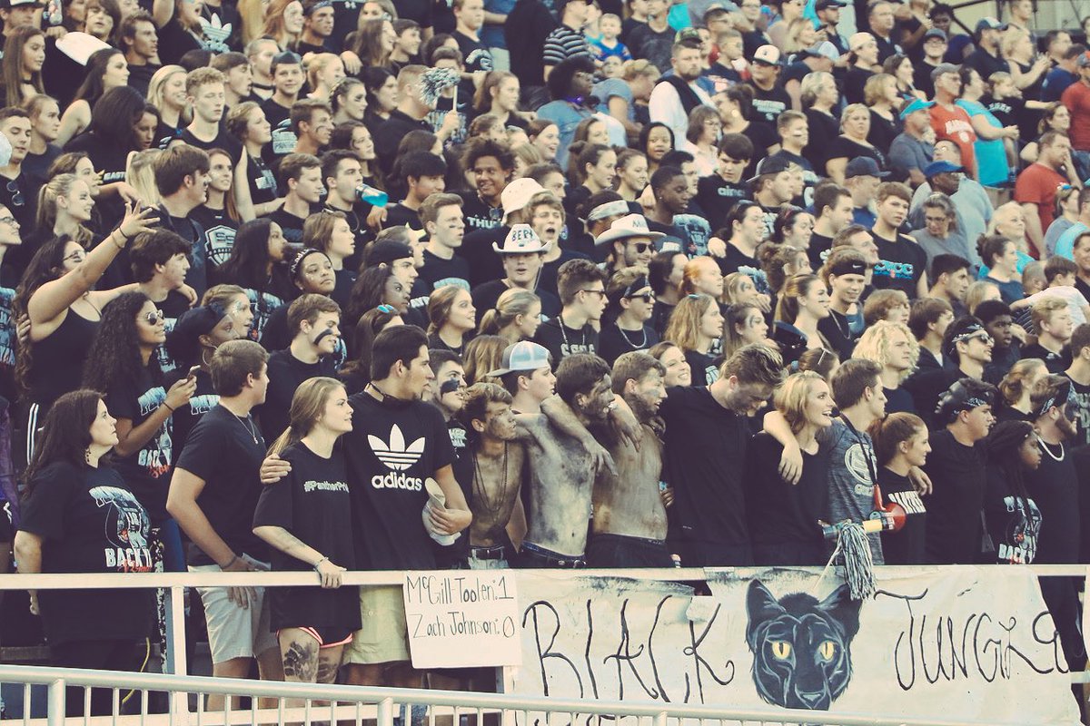 The Jungle tweet media