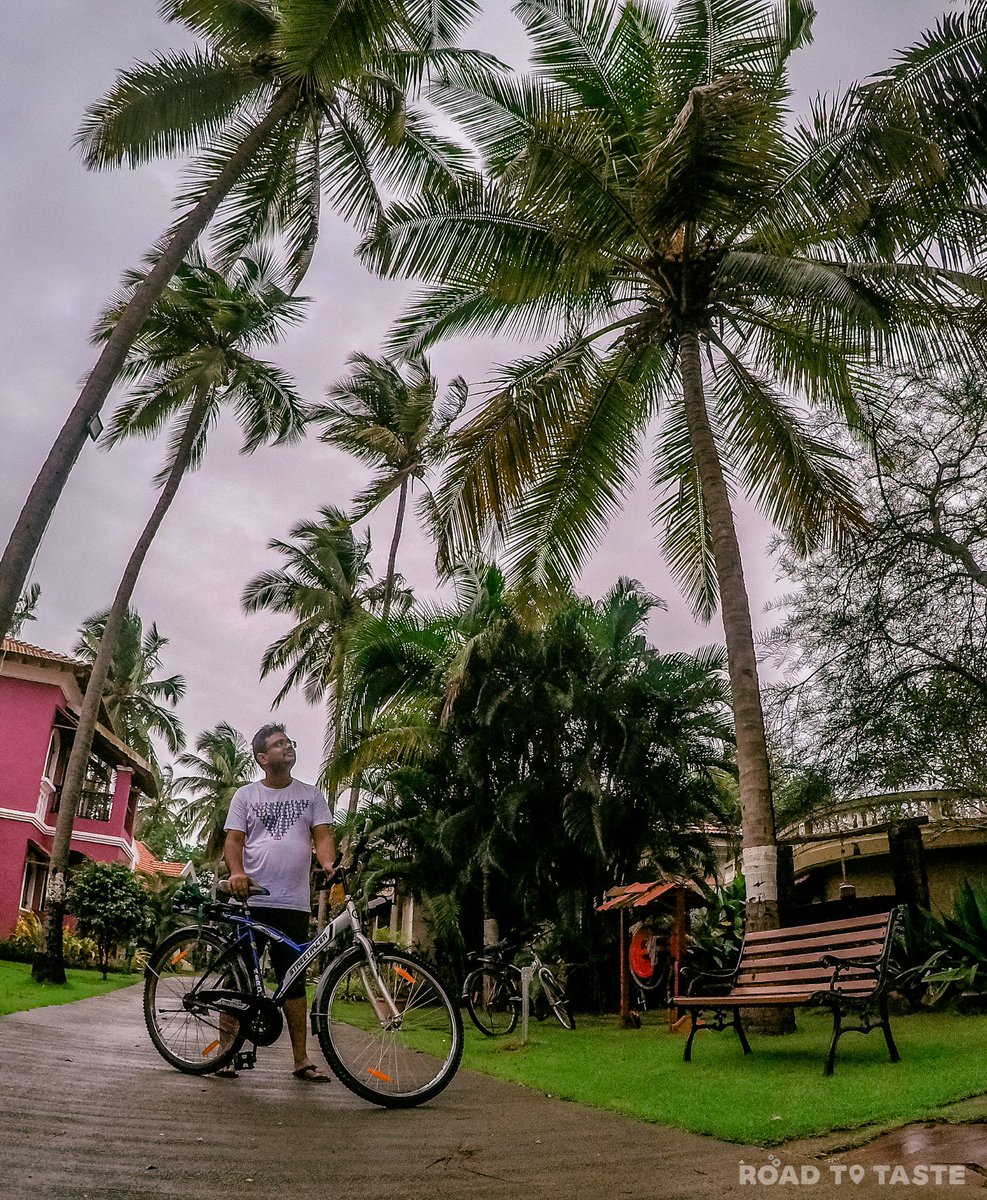 VishuSaumya's tweet photo. A complete #DivarIsland Guide for all those who are planning a visit! This tourist guide on Divar Islands will help you explore the unexplored part of #Goa.
https://t.co/UZfFlTjgG3
@TourismGoa @goa #Travel #TravelBlog #ttot #RETWEEET #india #roadtotaste #ChasingMonsoonsinGoa https://t.co/yMv0MQuU72
