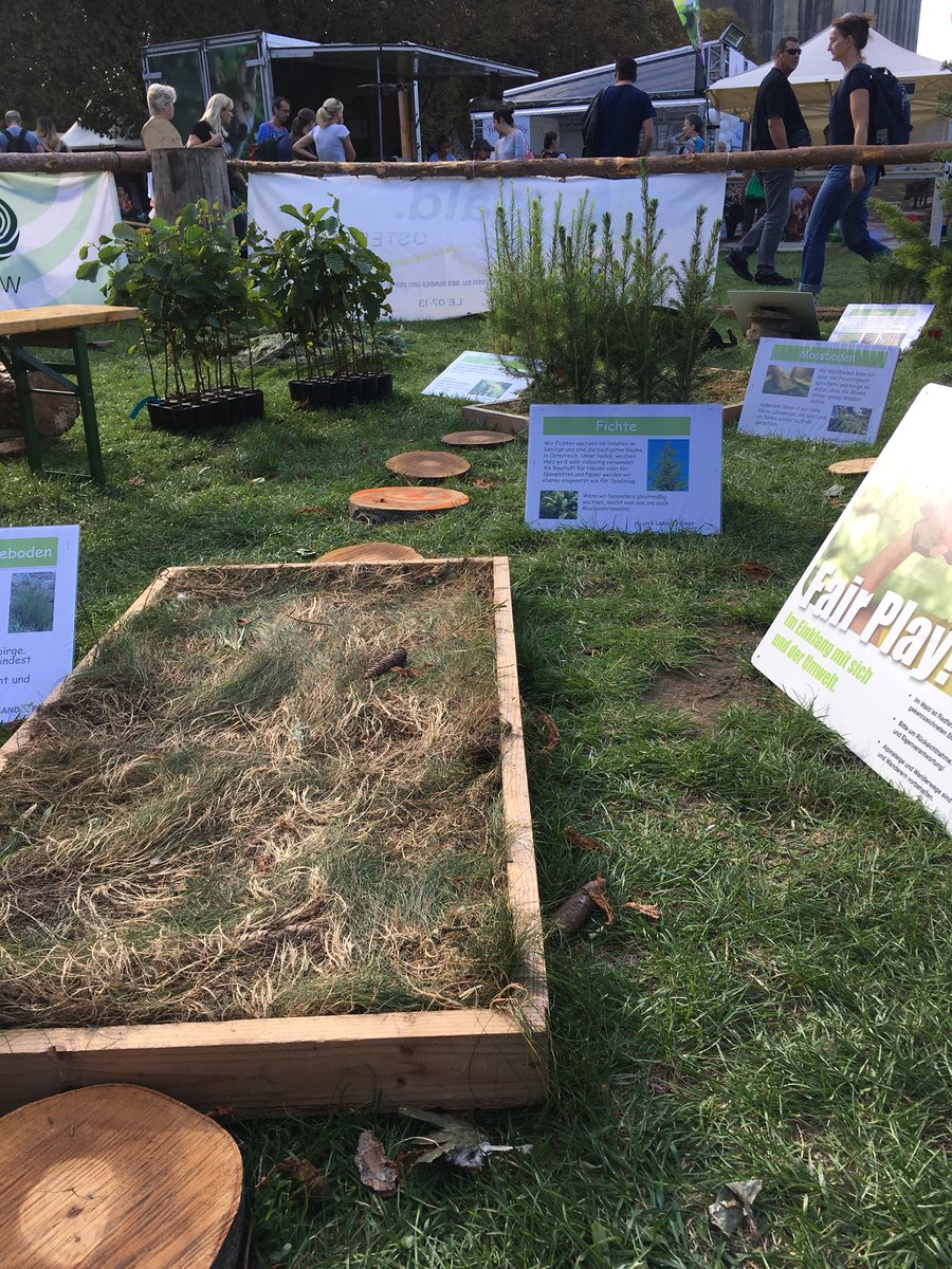 RenateMagerl's tweet photo. #jetzt #Erntedankfest der österreichischen Jungbauern im Wiener Augarten! Und unbedingt den Fühlpfad beim Stand der Land&Forst Betriebe Österreich ausprobieren! #EDF2018 #Wien #Augarten https://t.co/KfpWmiLXw9