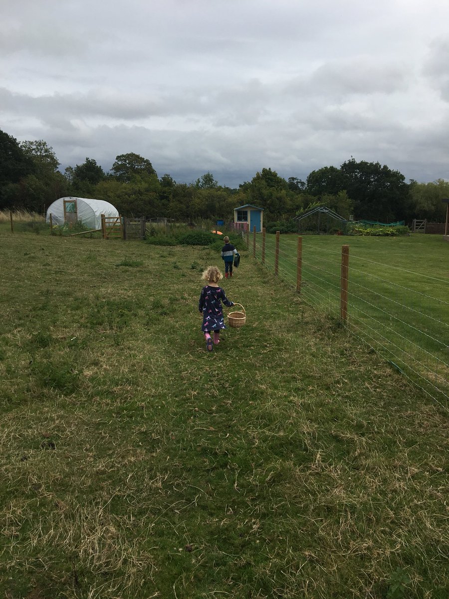 LittleLodgeFarm's tweet photo. Harvest Time https://t.co/EvM5nSYEYQ