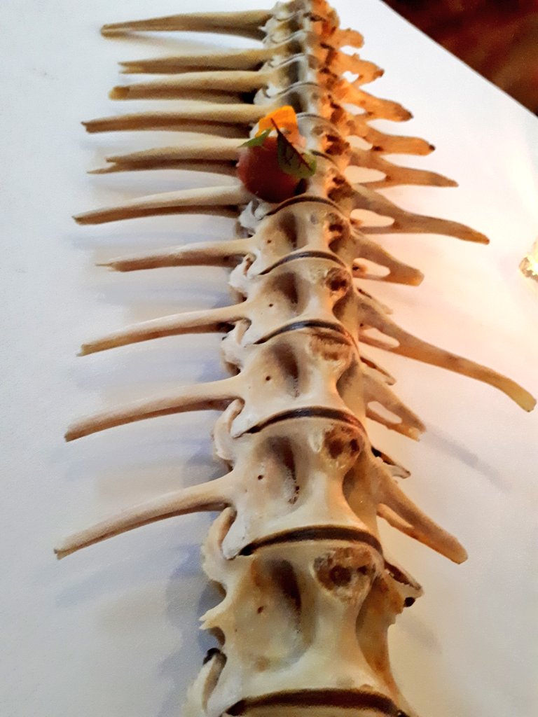 This literally filled the length of the table...for a miniscule piece of tuna
#lostforwords #takeitaway