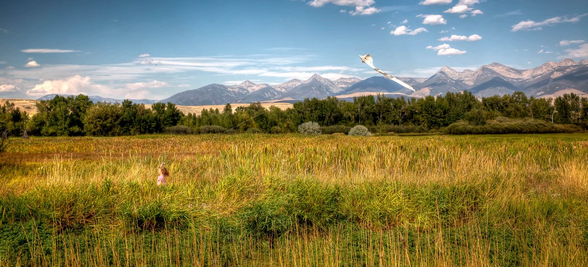 SalmonPublicLib's tweet photo. We took to the skies yesterday with an amazing #STEMed on kite building! Nothing says end of summer like running free with a a kite! Believe! #MakerEd @IdahoSTEMAC #STEM #MakerMovement #IdahoLibraries https://t.co/Z9W6Ax5fwe