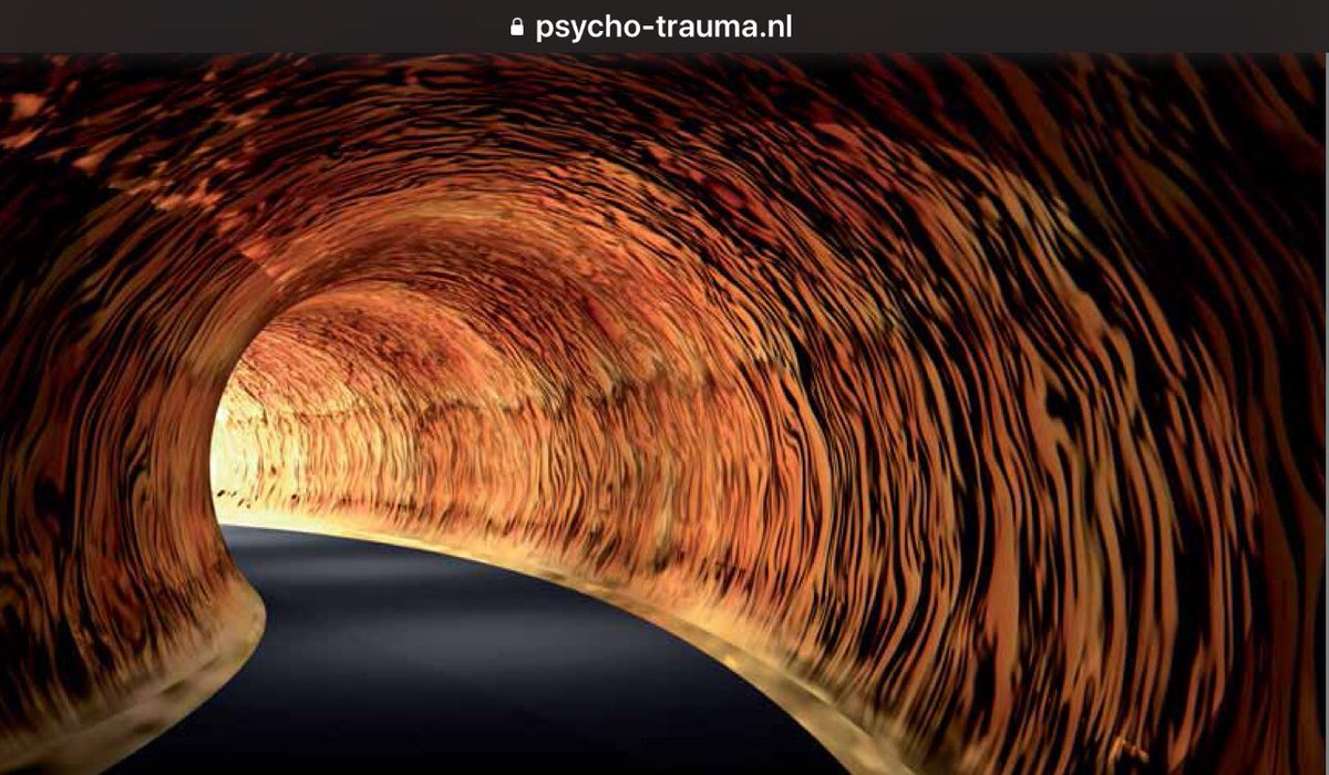 Begin niet aan een traumabehandeling als er geen herinneringen zijn, maar alleen vage vermoedens van seksueel misbruik. @InekeWessel 
psycho-trauma.nl/wp-content/upl…