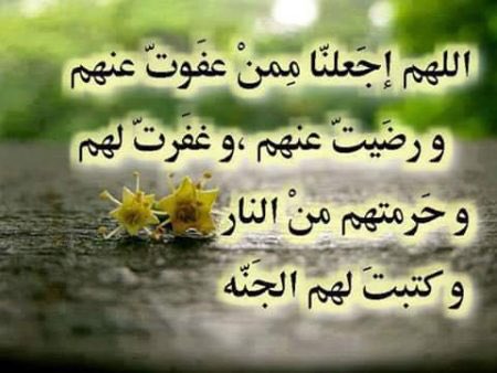 NorahAli71's tweet photo. #يطيب_يومك_اذا https://t.co/q5U57KTYy5
