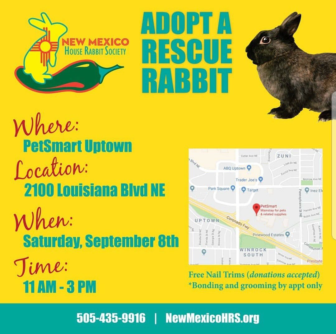 NMHouseRabbits's tweet photo. Lydia &amp; Parker are 2 of 10 #rabbits looking for forever homes today at our Uptown PetSmart #adoption event from 11a-3p! Bring your bun for a nail trim ~ donations welcome! #ABQ #shelter #rescueme #rescuerabbits https://t.co/OHKuqbaF1l