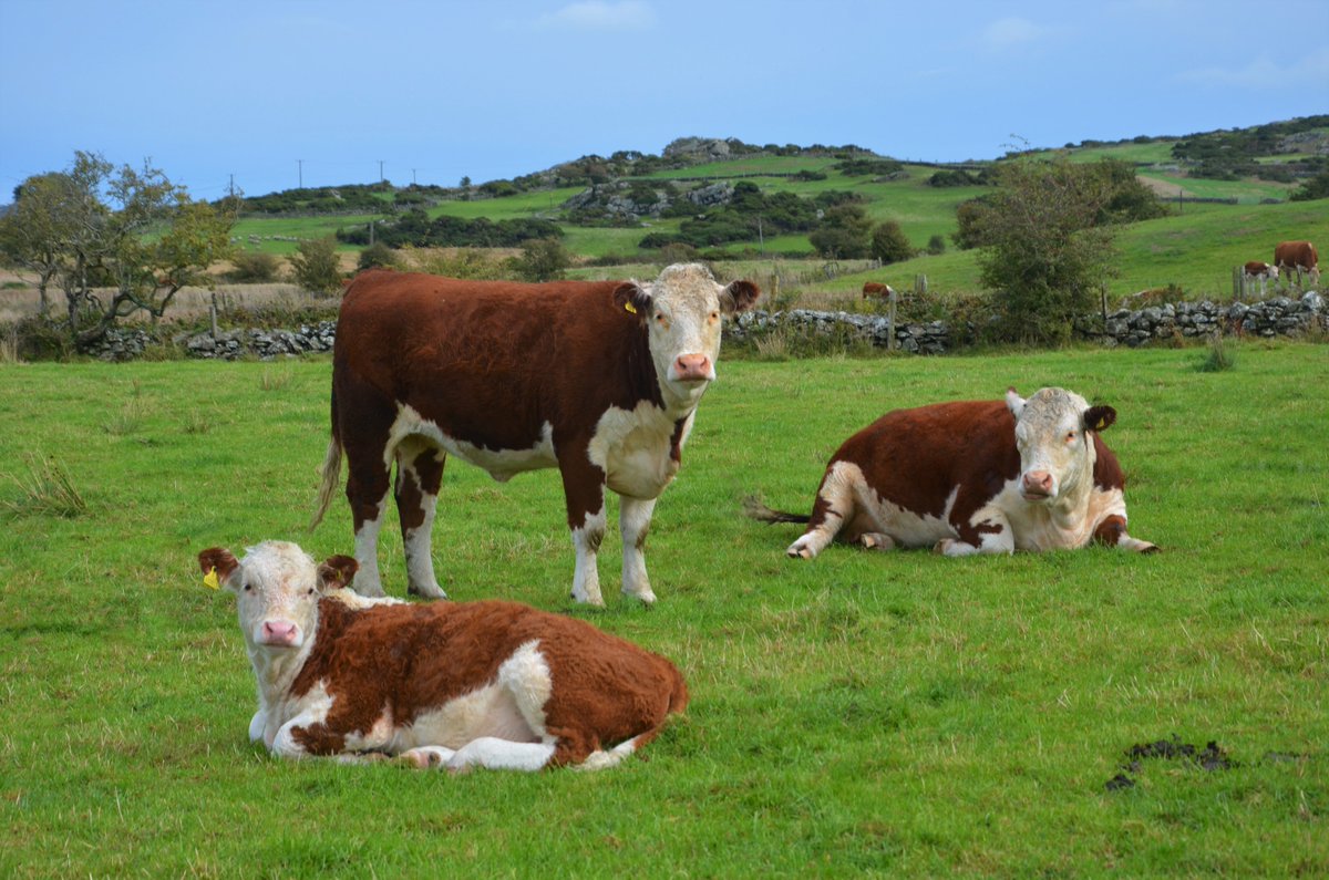 Chilling out on a warm autumn afternoon.