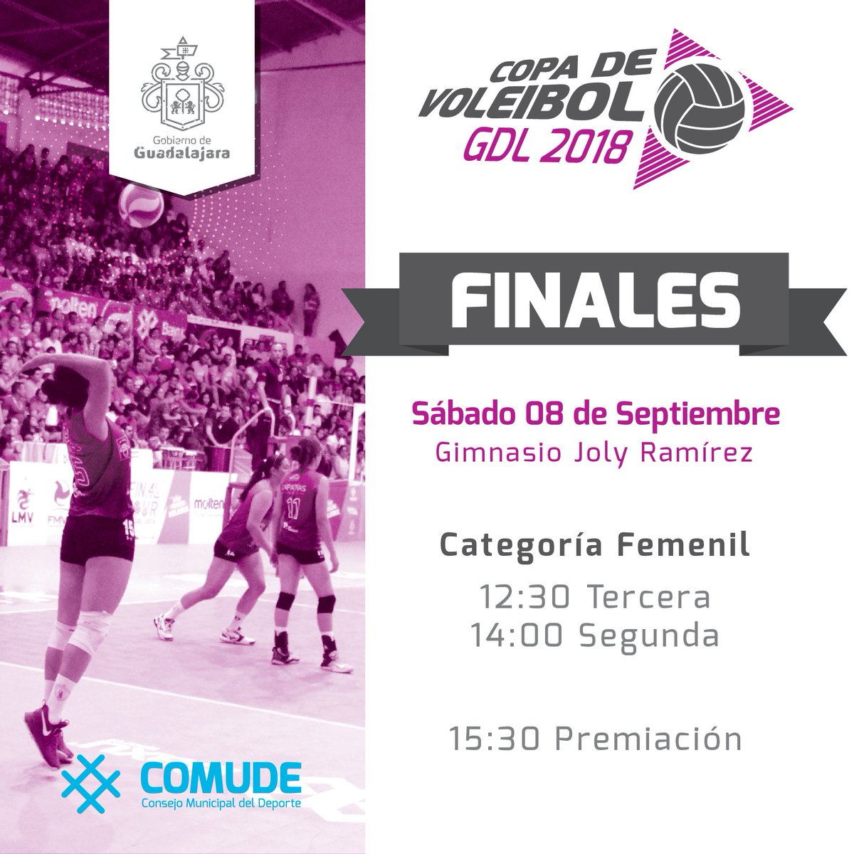 Fortegajalisco's tweet photo. ¡Llegó el día!

Los esperamos en el Gimnasio Joly Ramírez, para disfrutar de las finales de la Copa Guadalajara de Voleibol. https://t.co/131DBecTWd