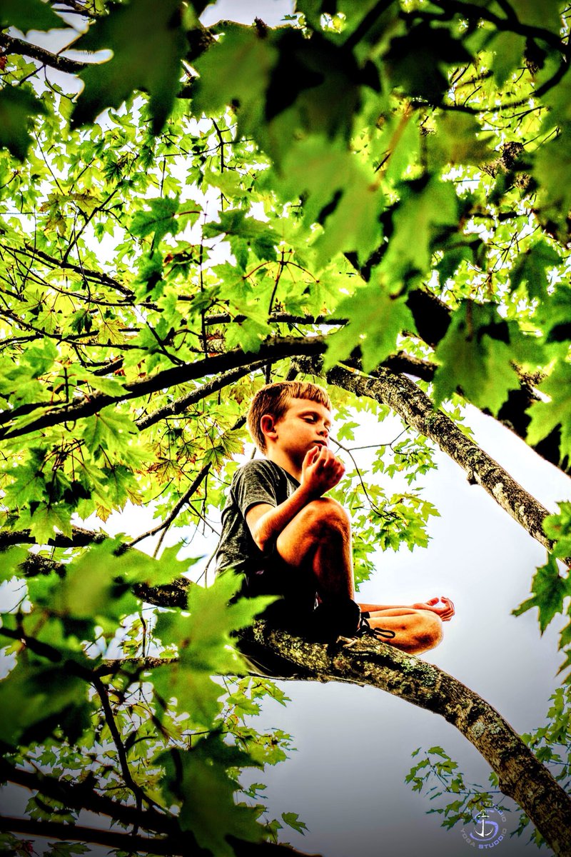 NicholeStudd's tweet photo. What would you find alone in a tree?
Are you brave enough to find out?
Breathe
Feel
Connect
Love

#teachpeace #meditation #youngyogi #ohioyoga #climbtrees #breathe #yogastuddstudio #kidyoga #livewell #playoutside #stayhuman #yogaart #yogaphotography #inhalelove https://t.co/6jTrAtQrZ7